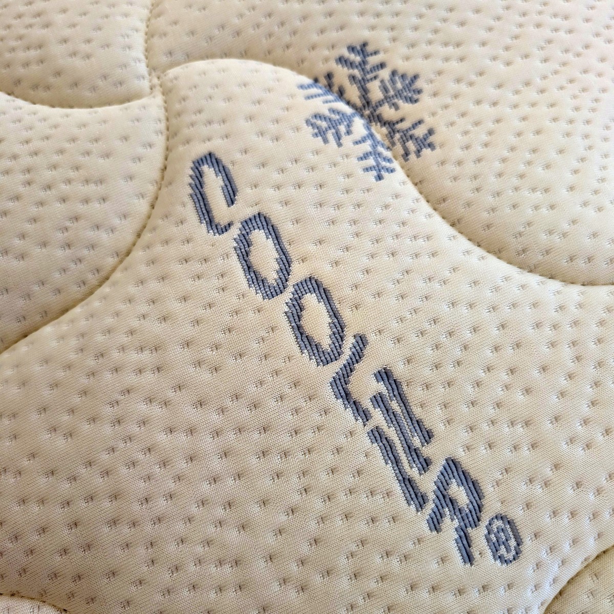 Cooler